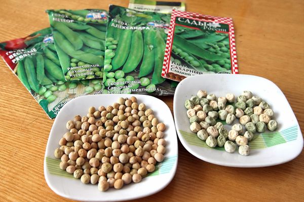 pea seeds