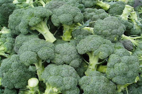 cabbage broccoli