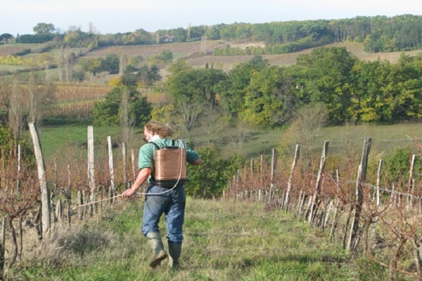 načine boja