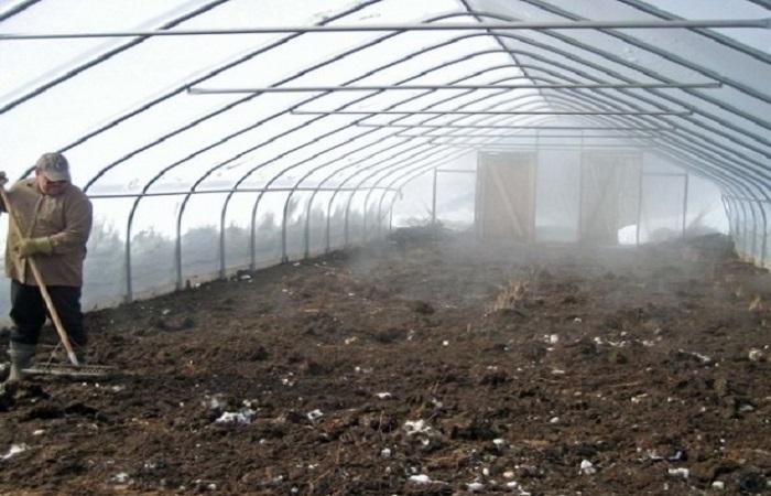 agriculteur en serre 