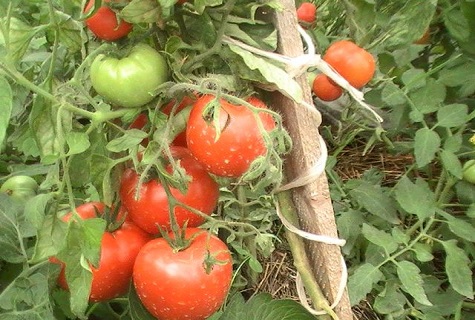 fruits on strings