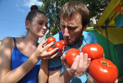 el olor a tomate 