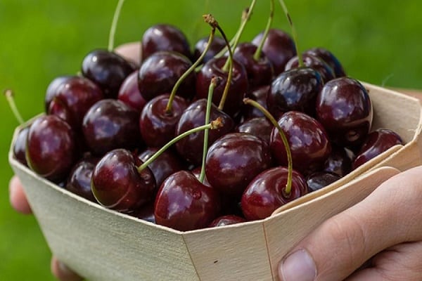 cesta de frutas 