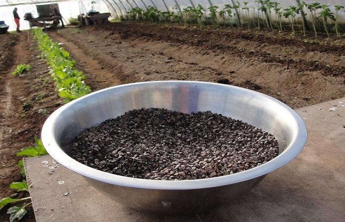 bowl of seeds 