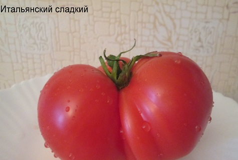 obrovské rajče
