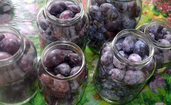 prunes en pots