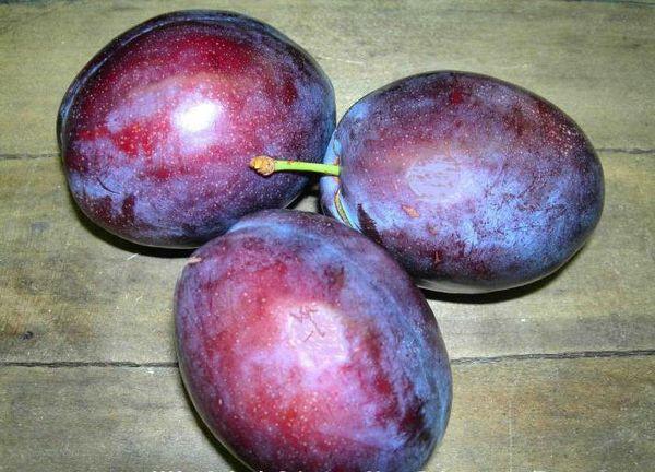 tatlong plum