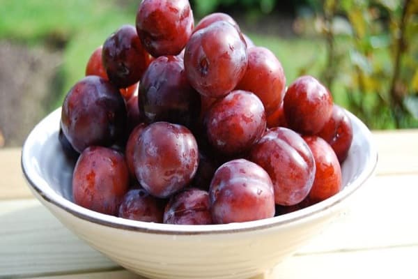 fruites en un plat 