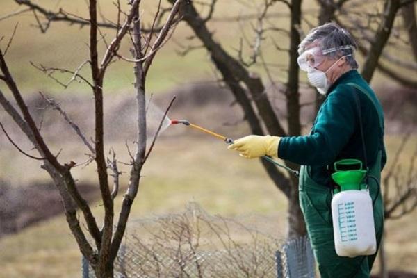 Besprühen Sie den Baum 