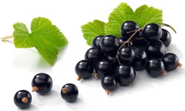 Mga berry ng currant