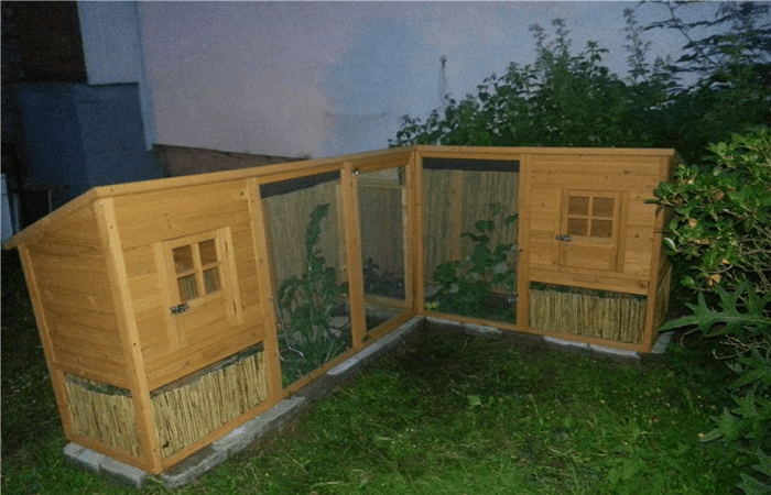 chicken coop in the yard 