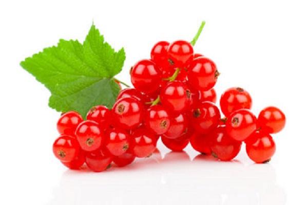 currant berries 