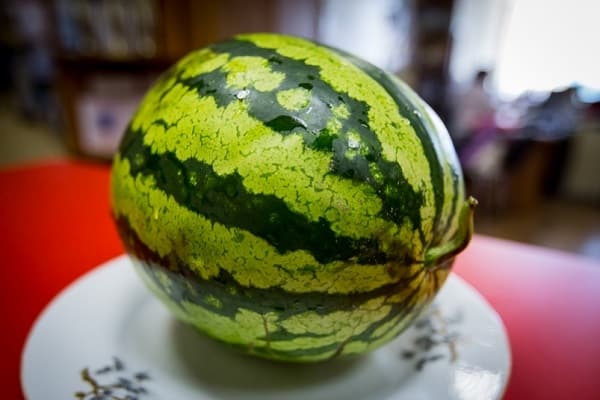 passende Wassermelone