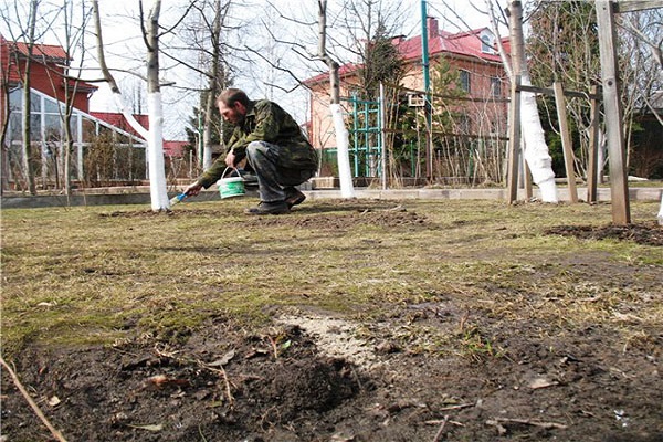 hnojení a zálivka