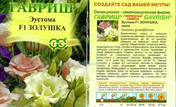 Eustoma Hamupipőke