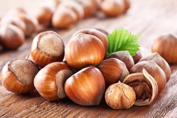 hazelnut varieties