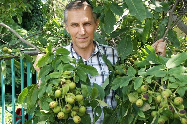 Mann im Baum 