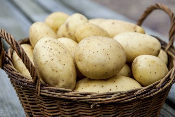 aardappel fruit