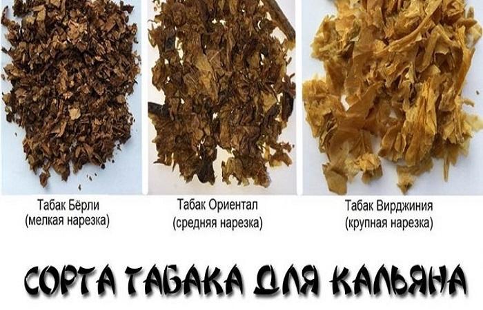 tipos de tabaco 