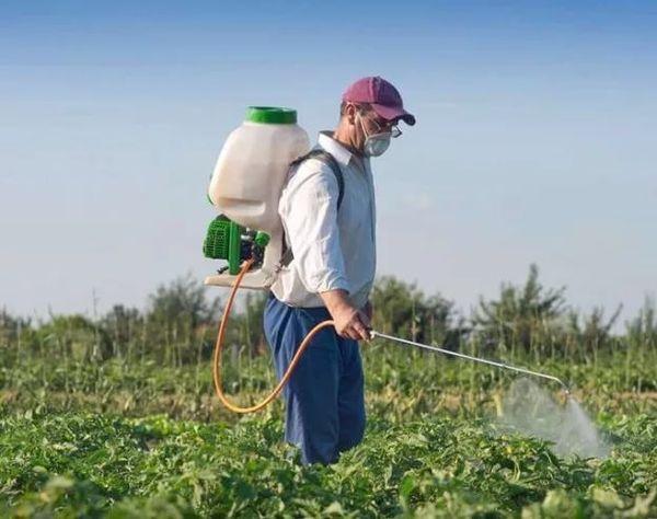 sprøjtning af planter