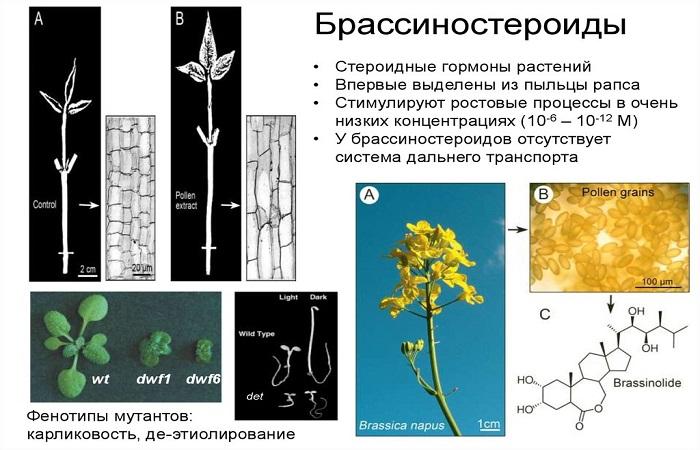 diagrammas un rasējumi 