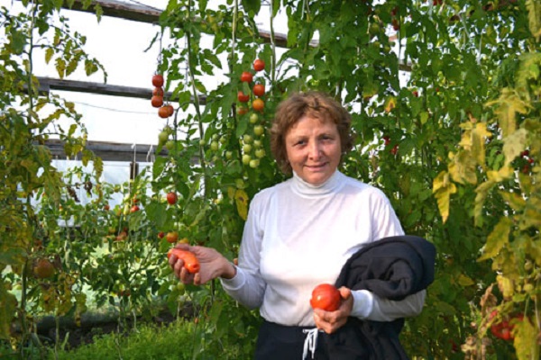 pensioners at the dacha 