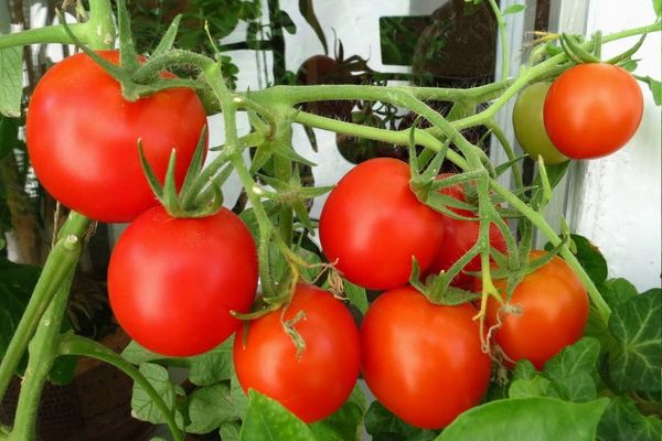 variétés superdéterminées