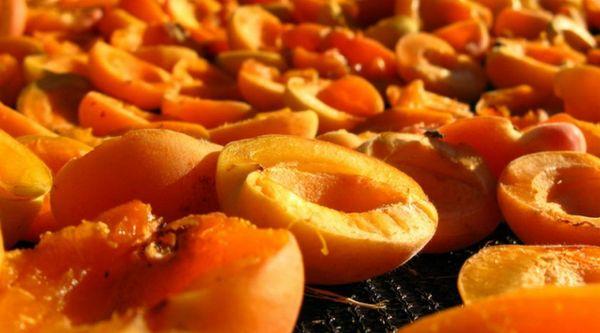 drying apricot