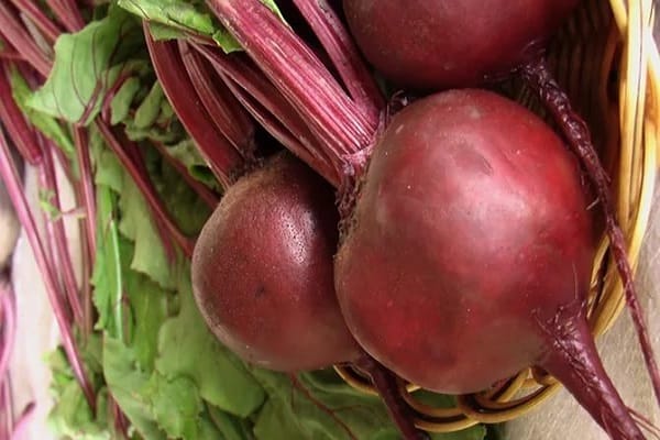 description of beets