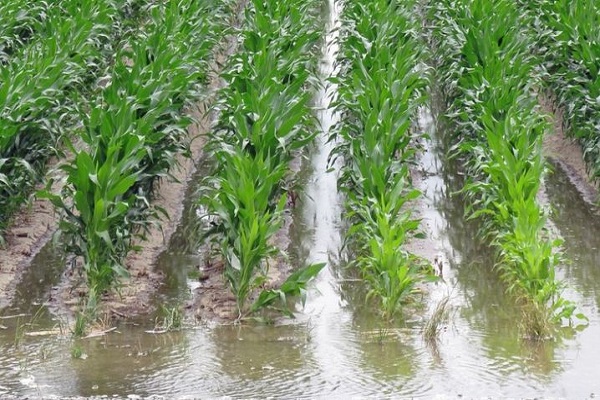 agroklimatische Bedingungen