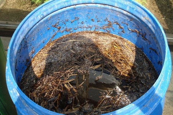 preparações minerais