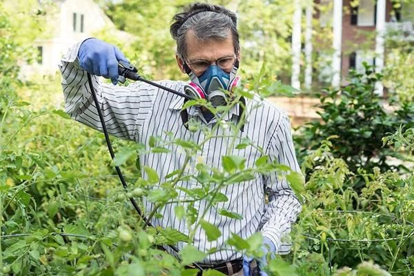 spraying with a mask 