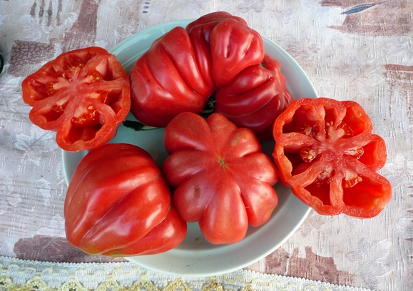 Tomate Tlacolula de Matamoros en un plato