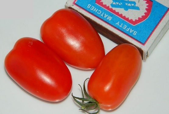 datte de tomate