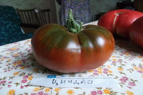 tomato Qingdao