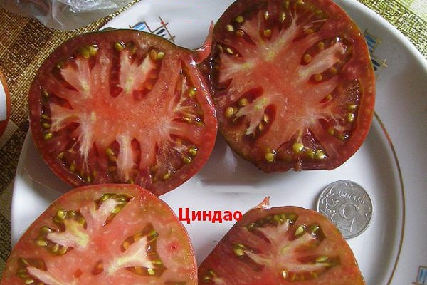 chokeberry tomatoes