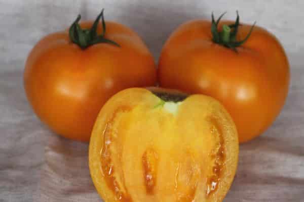 Yellow tomatoes