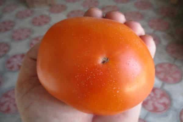 Grosse tomate