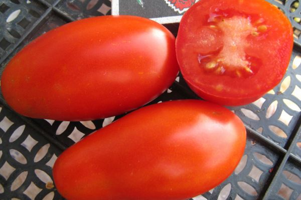 Ripe tomatoes