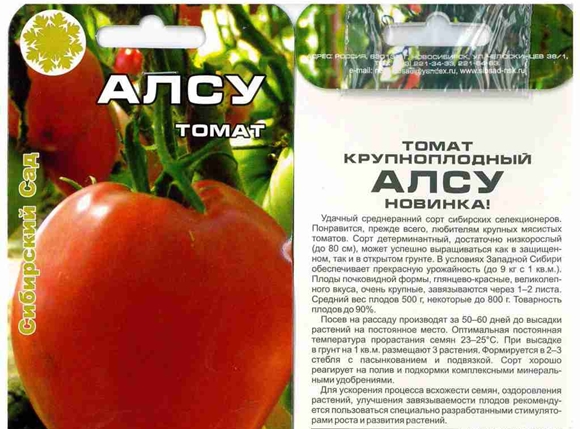 Také semínka rajčat