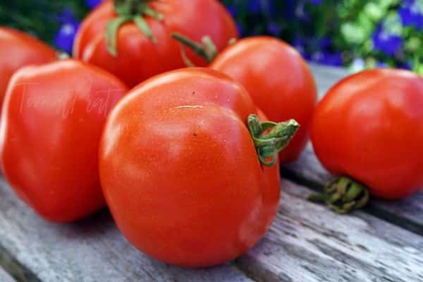 tomate athol