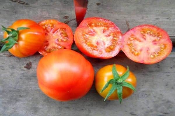 sectional view of tomatoes