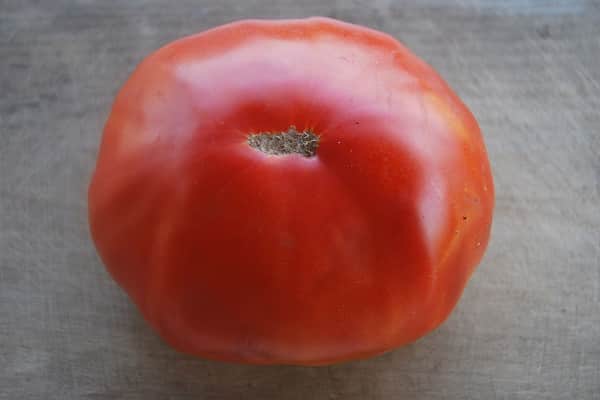 Description de la variété de tomate Barin, caractéristiques de croissance et rendement