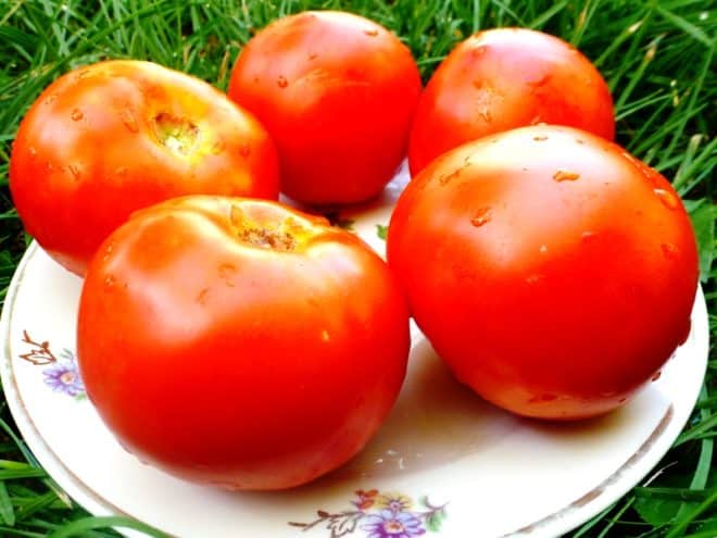 Bílé rajče na talíři