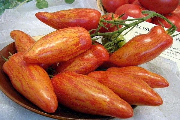 Popis odrůdy rajčat Madness Kasadi, její vlastnosti a výnos