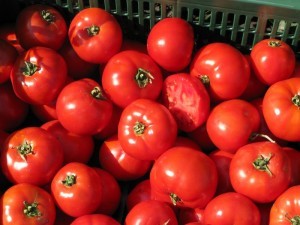 aparência do tomate Townsville F1