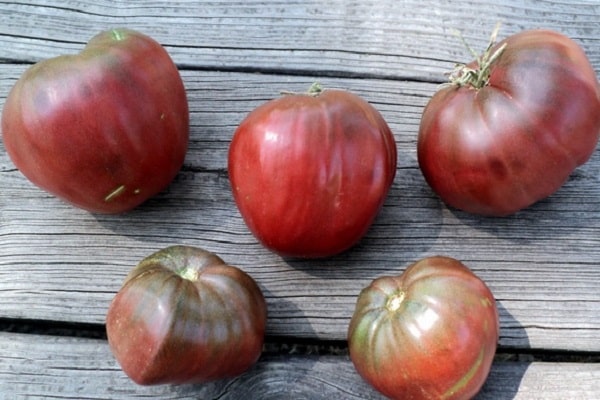 Description of the tomato variety Black Heart of Breda, features of cultivation and care