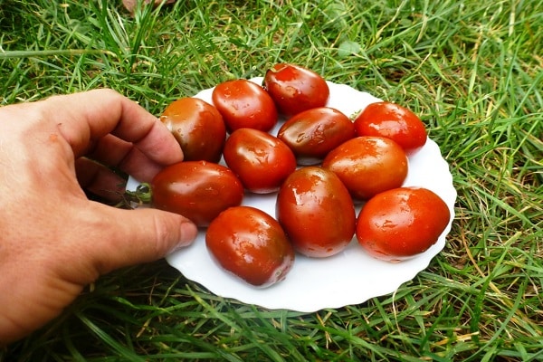 assortment of seeds