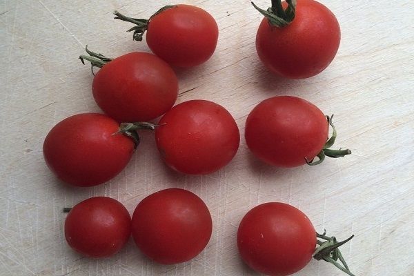 Reife Tomaten