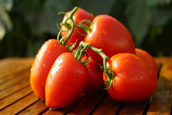 tomate en la mesa